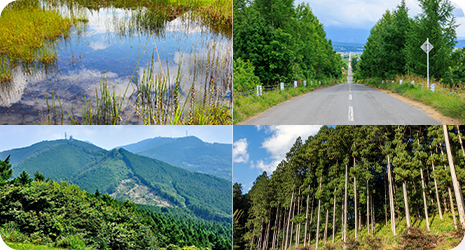 山林・私道・沼地など全種類の土地の引き取り。